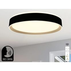   NEDES LED lámpa Fekete + távirányító + HANGVEZÉRLÉS 48W 