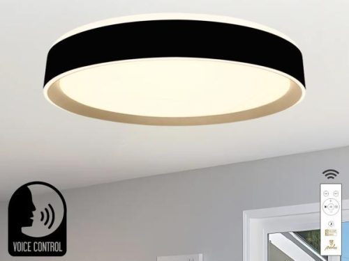 NEDES LED lámpa Fekete + távirányító + HANGVEZÉRLÉS 48W 